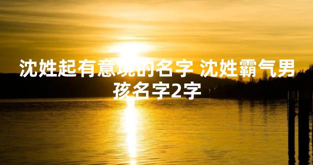 沈姓起有意境的名字 沈姓霸气男孩名字2字